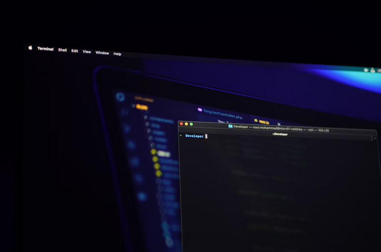 developer
